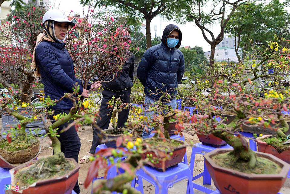 Người Hà Nội tấp nập đi sắm Tết sớm